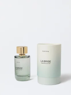 Parfois Perfumes*Perfume La Brise | Cinzento